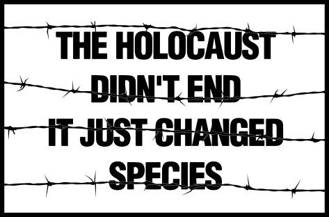 Holocaust VECTOR USE