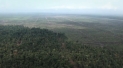 Environmental - Deforestation 25