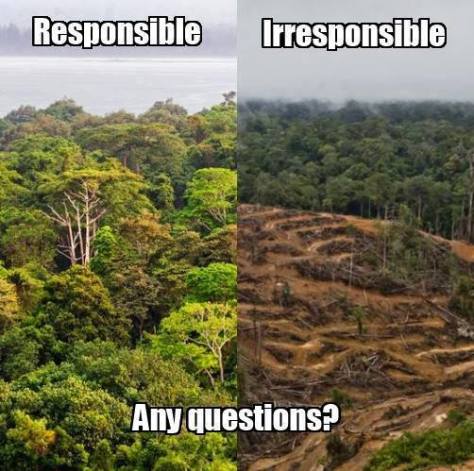 Environmental - Deforestation irresponsible