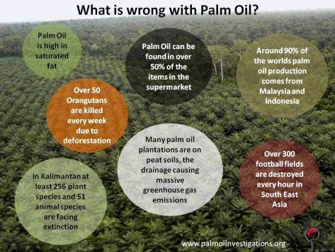 Environmental - Deforestation what's wrong with palm oil