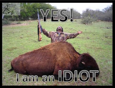 Message - Yes I am an idiot