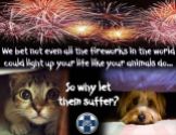 Cats and dogs - Medical safety fireworks 1