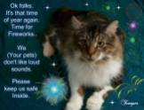 Cats and dogs - Medical safety fireworks 2