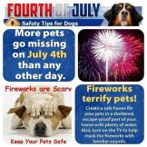 Cats and dogs - Medical safety fireworks 3