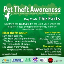 Cats and dogs - Pet theft awareness
