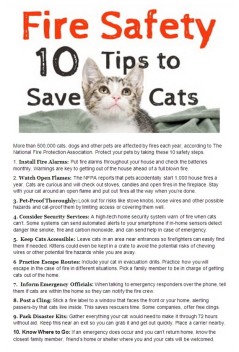 Cats and dogs - Safety fire tips