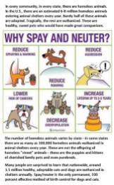 Cats and dogs - Spay and neuter your pets infog USE