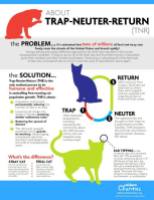 Cats and dogs - TNR infographic
