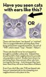Cats and dogs - TNR shelters should not euth