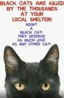 Cats - Black adopt one of thousands killed