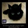 Cats - Black cat myth