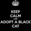Cats - Black keep calm and adopt