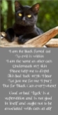 Cats - Black poem use