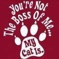 Cats - Boss of me