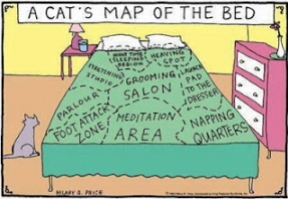 Cats - Cartoons map of the bed