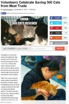Cats - Cat trade killers in China story