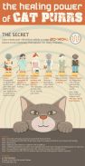 Cats - Healing power of purrs