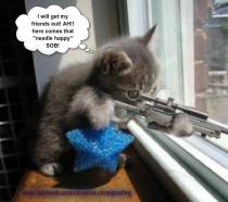 Cats - Kitten sniping