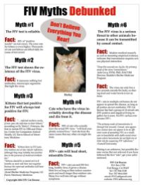 Cats - Medical FIV myths debunks