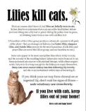 Cats - Medical plants kill cats 01