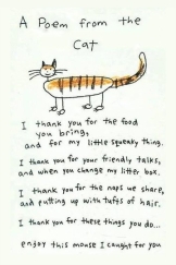 Cats - Poem from the cat