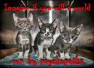 Cats - Psychopaths imagine a world 02