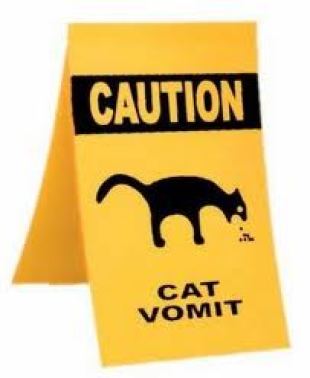 Cats - Vomit caution
