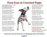 Dog - Puppy untrained poem from an