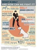Dogs - BSL infographic