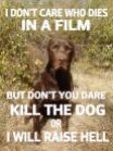 Dogs - Don't die in film