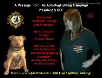 Dogs - Fighting campaign FB message
