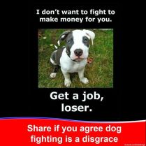 Dogs - Fighting get a job