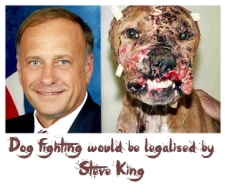 Dogs - Fighting would be legalised by Steve King