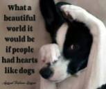 Dogs - If people had hearts like
