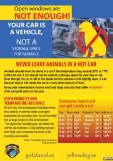 Dogs - Medical hot car safety 10