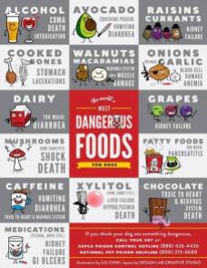 Dogs - Medical toxic foods 2
