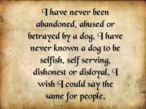 Dogs - Never been abandoned by