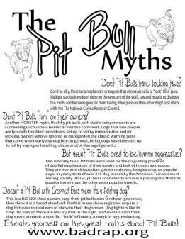 Dogs - Pit bull myths