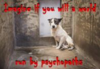 Dogs - Psychopaths imagine