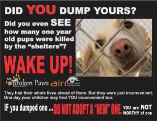 Homeless pets - Abandon do not dump as shelters kill pups