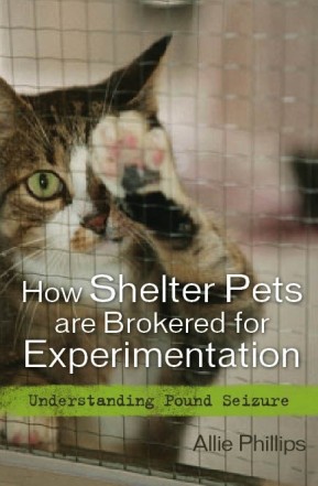 Homeless pets - Abandoned how shelter pets are brokered for experimentation
