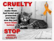 Homeless pets - Abandoned is cruelty