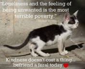 Homeless pets - Abandoned is the worst feeling