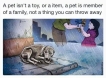Homeless pets - Abandoned pet is not a toy