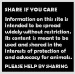 Homeless pets - Facebook share if you care