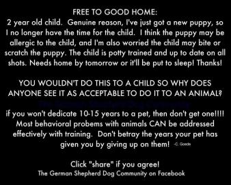 Homeless pets - Free to good home child