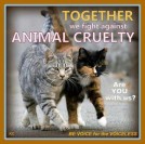Homeless pets - Help abuse together fight against animal cruelty