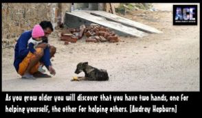 Homeless pets - Help as you grow older you will discover that you have two hands