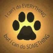 Homeless pets - Help can't do everything but can
