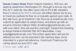 Homeless pets - Help foster in NYC